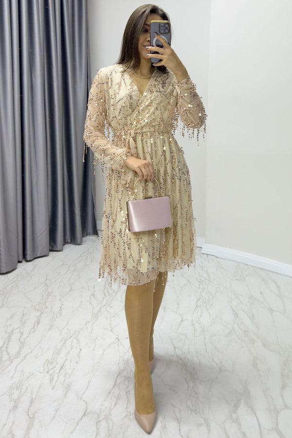 Kadın Pulpayet V yaka Tül Büyük Beden Abiye Elbise-Gold - Elbise Delisi